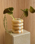 The Bubble Vessel Honey Alabaster